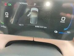 2025 BYD Seagull EV 305km, белый — фото 12