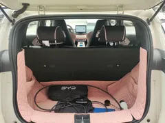 2025 BYD Seagull EV 305km, белый — фото 19