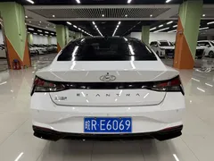 2022 Hyundai Elantra 1.5L CVT GLX Elite, белый — фото 21