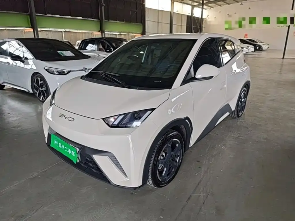 2023 BYD Seagull Flying