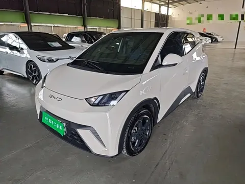 2023 BYD Seagull Flying