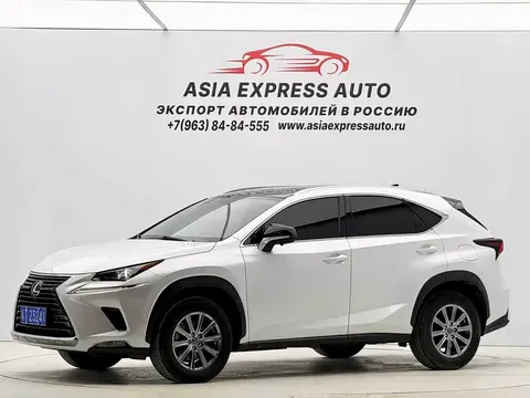 2020 Lexus NX 200 2WD Fengxing China VI