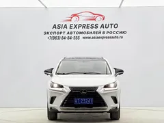 2020 Lexus NX 200 2WD Fengxing China VI, белый — фото 2
