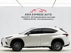 2020 Lexus NX 200 2WD Fengxing China VI, белый — фото 7