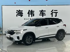 2023 Kia Seltos 1.5L CVT Luxury, белый — фото 1