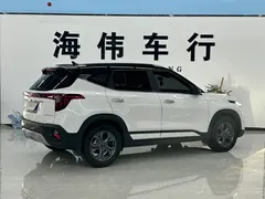 2023 Kia Seltos 1.5L CVT Luxury, белый — фото 13