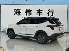 2023 Kia Seltos 1.5L CVT Luxury, белый — фото 15