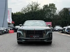 2025 Hongqi H9 2.0T 2WD Qichang Fashion 5-seat, зелёный — фото 2