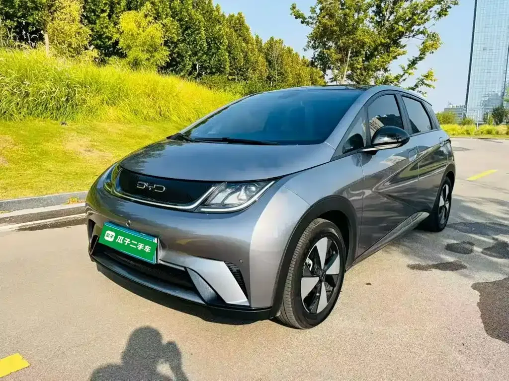 2023 BYD Dolphin 420km Fashion