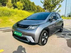 2023 BYD Dolphin 420km Fashion — фото 1
