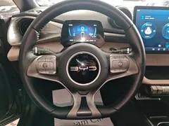 2023 BYD Dolphin 420km Fashion — фото 10