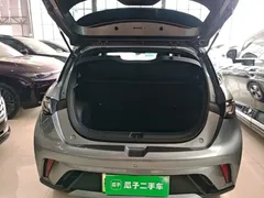 2023 BYD Dolphin 420km Fashion — фото 18