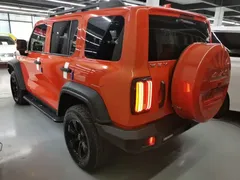 2021 Tank 300 Off-road 2.0T Conqueror — фото 5
