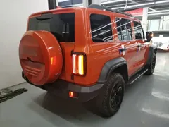 2021 Tank 300 Off-road 2.0T Conqueror — фото 7