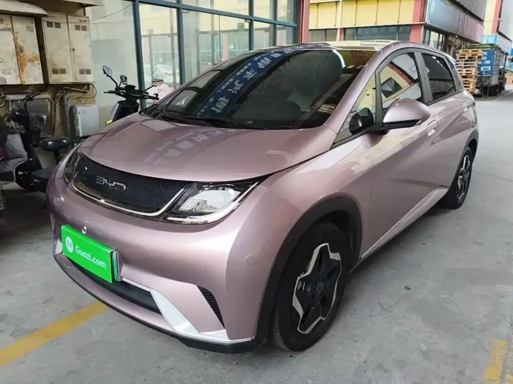 2021 BYD Dolphin EV 405km Freedom