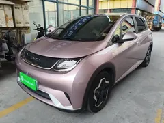 2021 BYD Dolphin EV 405km Freedom, чёрный — фото 2