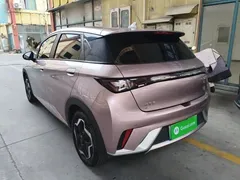 2021 BYD Dolphin EV 405km Freedom, чёрный — фото 5