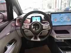 2021 BYD Dolphin EV 405km Freedom, чёрный — фото 11