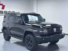 2023 Tank 300 Off-road 2.0T Challenger, чёрный — фото 3