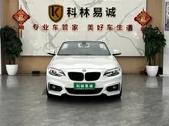 2019 BMW 2 Series 225i Convertible Sport Design Package, белый — фото 2