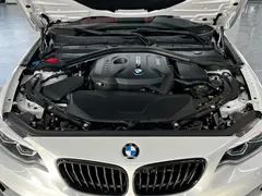2019 BMW 2 Series 225i Convertible Sport Design Package, белый — фото 25