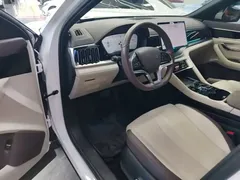 2025 BYD Song PLUS EV 520km Premium, белый — фото 16