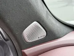 2024 Geely Monjaro 2.0T AT 2WD High Power Sky — фото 12