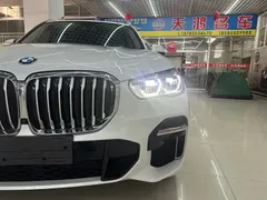 2022 BMW X5 30Li Premium M Sport Package, белый — фото 5