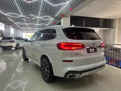 2022 BMW X5 30Li Premium M Sport Package, белый — фото 9