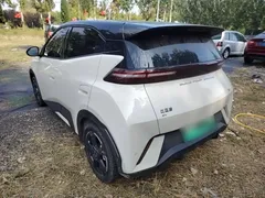 2024 BYD Seagull EV 305km Honor Freedom, белый — фото 5