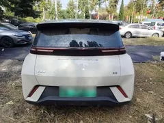 2024 BYD Seagull EV 305km Honor Freedom, белый — фото 6