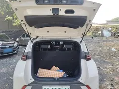 2024 BYD Seagull EV 305km Honor Freedom, белый — фото 19