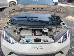 2024 BYD Seagull EV 305km Honor Freedom, белый — фото 20