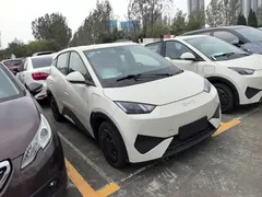 2025 BYD Seagull EV 305km, белый — фото 4