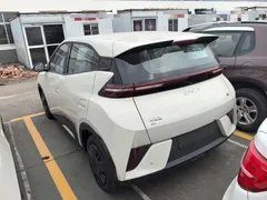 2025 BYD Seagull EV 305km, белый — фото 5