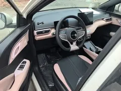2025 BYD Seagull EV 305km, белый — фото 16