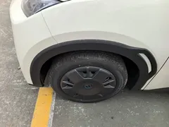 2025 BYD Seagull EV 305km, белый — фото 23