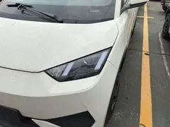 2025 BYD Seagull EV 305km, белый — фото 24