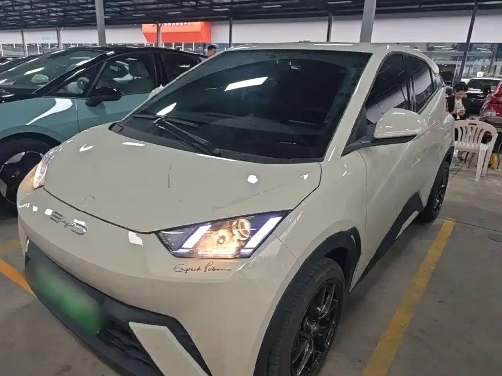 2023 BYD Seagull Vitality