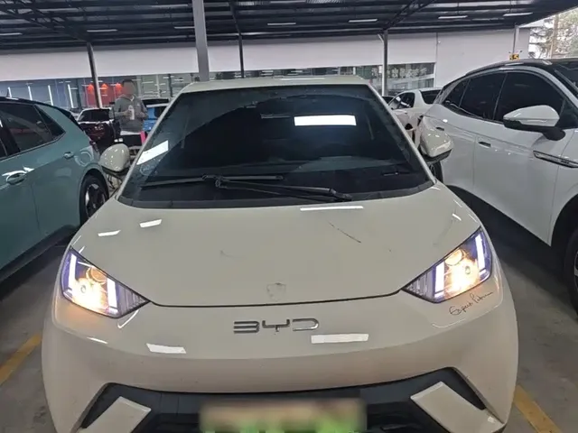 2023 BYD Seagull Vitality