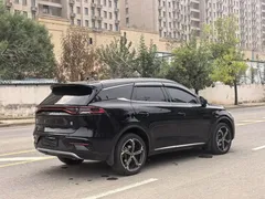 2021 BYD Tang DM-i PHEV 112km Premium, чёрный — фото 6