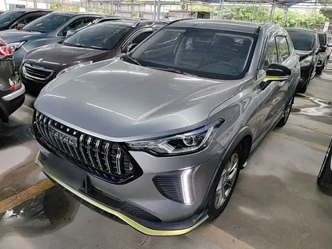 2022 Haval Chitu 1.5T Jinxiang Brass Rabbit