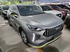 2022 Haval Chitu 1.5T Jinxiang Brass Rabbit — фото 4