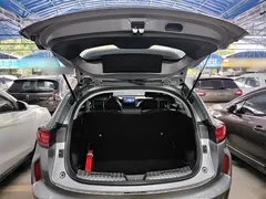 2022 Haval Chitu 1.5T Jinxiang Brass Rabbit — фото 19