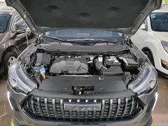 2022 Haval Chitu 1.5T Jinxiang Brass Rabbit — фото 20