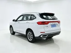 2021 Haval M6 Plus 1.5T DCT Luxury, белый — фото 5