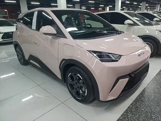 2025 BYD Seagull 305km Freedom