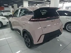 2025 BYD Seagull 305km Freedom, чёрный — фото 5
