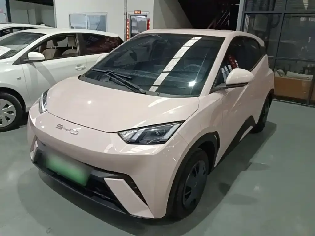 2023 BYD Seagull Vitality