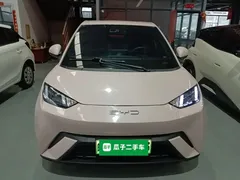 2023 BYD Seagull Vitality, чёрный — фото 3